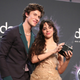 Apparently, Camila Cabello Inspired Every Song Shawn Mendes Has Ever Written, Which Makes No Sense